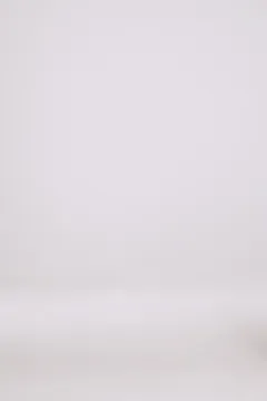 Gretta high waisted chain embroidered mini skirt