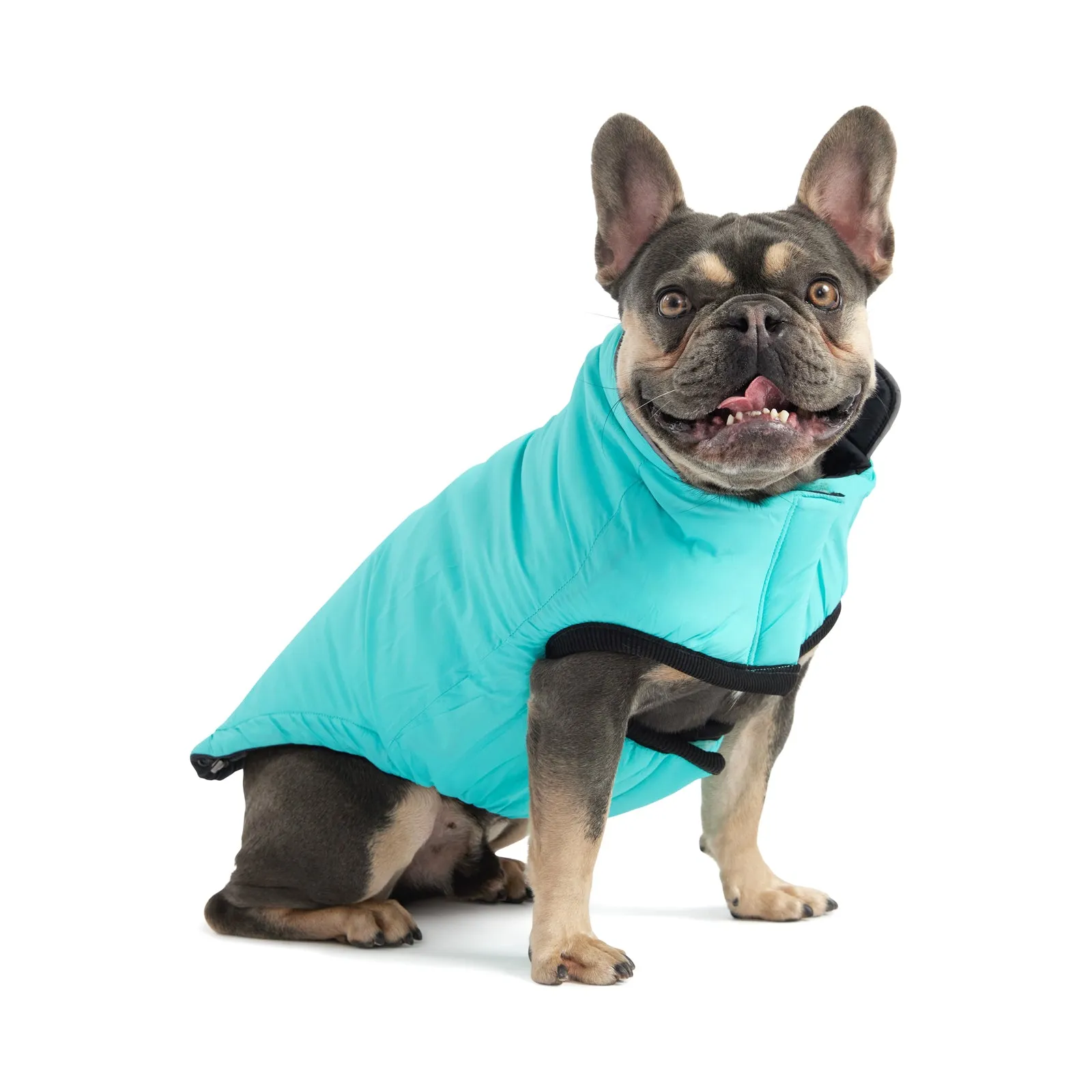 Reversible Chalet Jacket