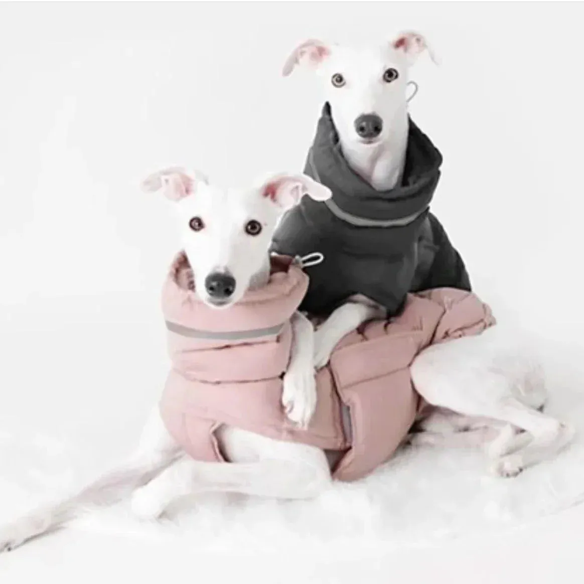 Windproof Adjustable Dog Parka Vest - Winter Fashion for Italian Greyhounds and Whippets - Dog Parka Warm Dog Vest Italian Greyhound Clothes Winter Whippet Jacket Windproof Adjustable Solid Dog Coat Greyhounds Outfit