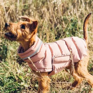 Windproof Adjustable Dog Parka Vest - Winter Fashion for Italian Greyhounds and Whippets - Dog Parka Warm Dog Vest Italian Greyhound Clothes Winter Whippet Jacket Windproof Adjustable Solid Dog Coat Greyhounds Outfit