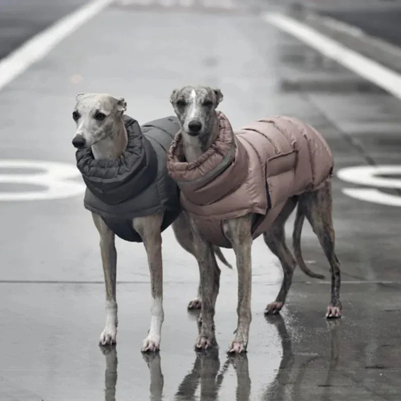 Windproof Adjustable Dog Parka Vest - Winter Fashion for Italian Greyhounds and Whippets - Dog Parka Warm Dog Vest Italian Greyhound Clothes Winter Whippet Jacket Windproof Adjustable Solid Dog Coat Greyhounds Outfit